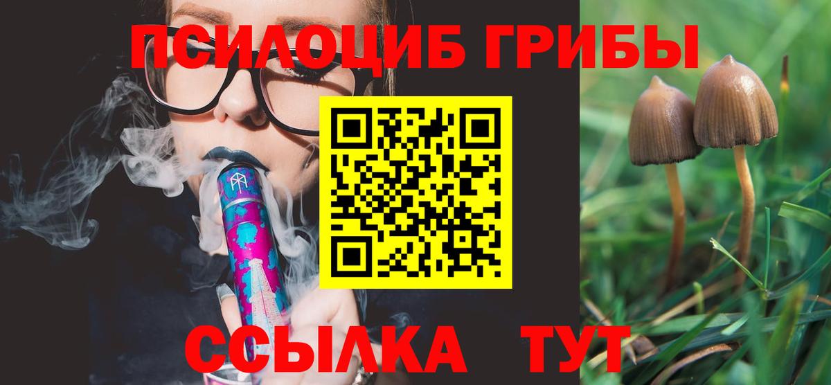 Псилоцибиновые грибы Cubensis  Вход с VPN  Пыть-Ях 